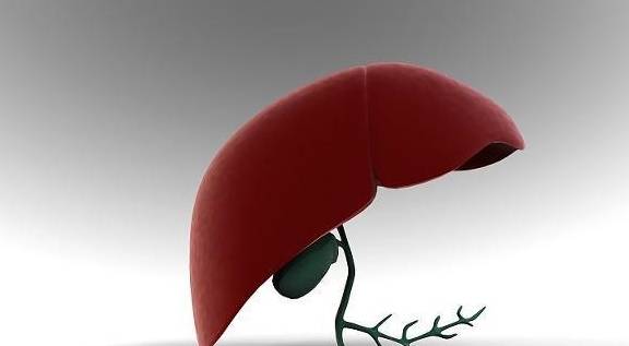 垃圾|肝功能好的人，晨起一般没这4个“标志”