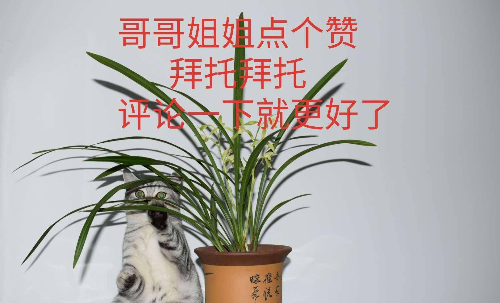 5f4ab1fa398d462eaedfe0c18def86b4.jpeg