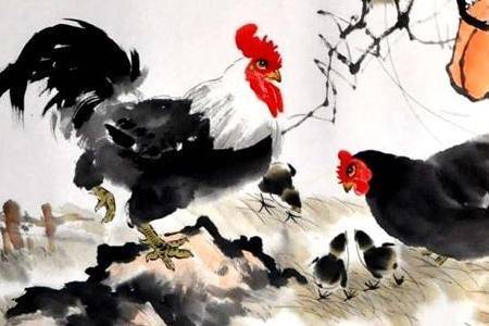 奋力护蛋鸡掩怒，制暴应该要以暴指打一个最佳生肖，词语解释谜底释义落实