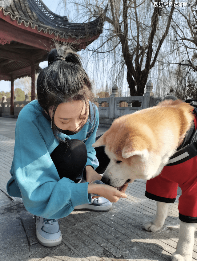 崔宝月芭蕾舞图片