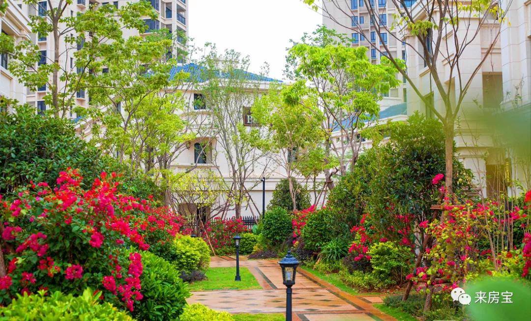 厦门海沧厦门华玺为什么这么多人买原因何在官