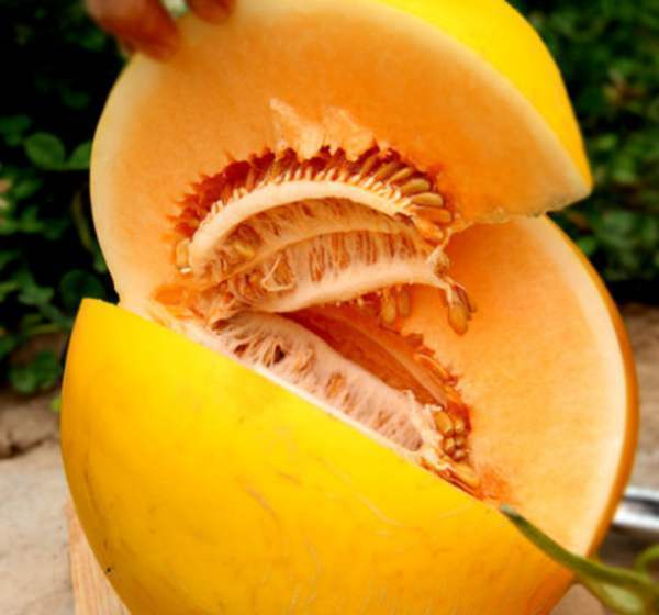 夏天不妨常吃此水果,补充营养,清热解暑,还能润肠通便_白兰瓜