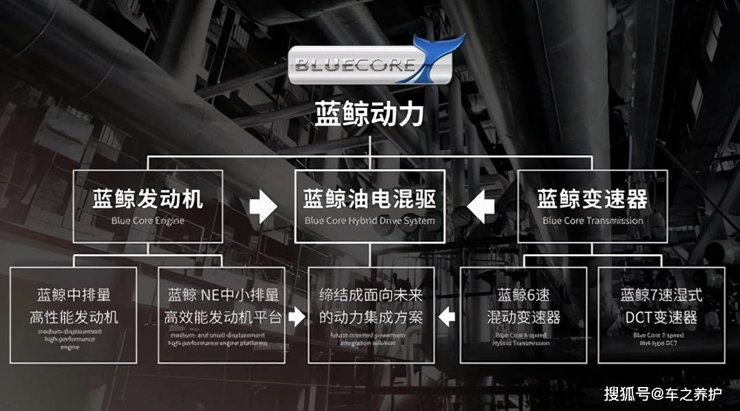 蓝鲸发动机是什么意思 b3f1f4d3fc634a71a099f20b22ec6b93.jpeg
