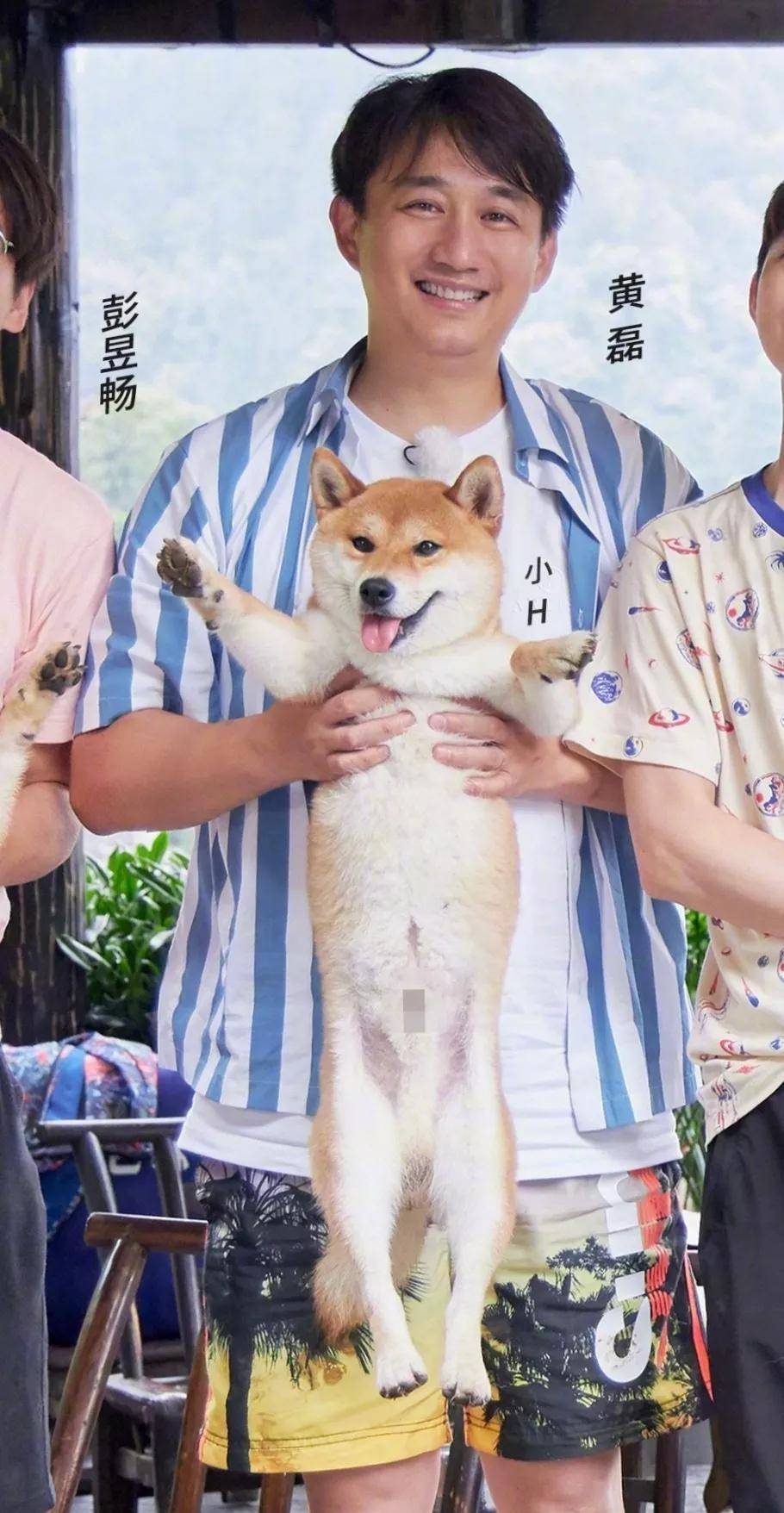 吴磊抱狗姿势冲上热搜，网友：别人是抱狗，他是抱娃,狗,第13张