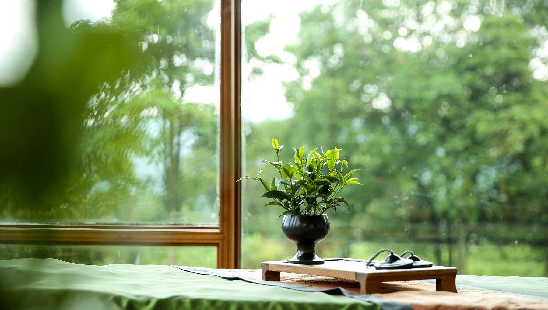 静,是一个人最高级的智慧(深刻)