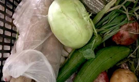 绿叶蔬菜放冰箱能放多久 f2bd94c4eaa14f51ada6c48f83c5f0ca.jpeg