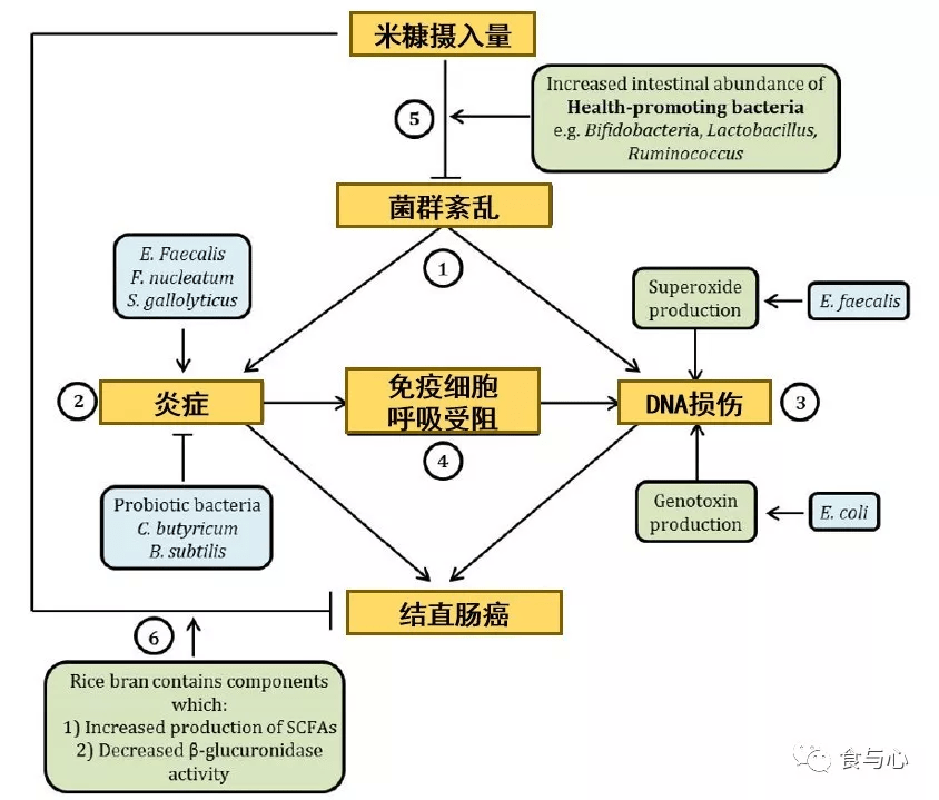 c8b1048d8b6647d28f6e119d70412405.png
