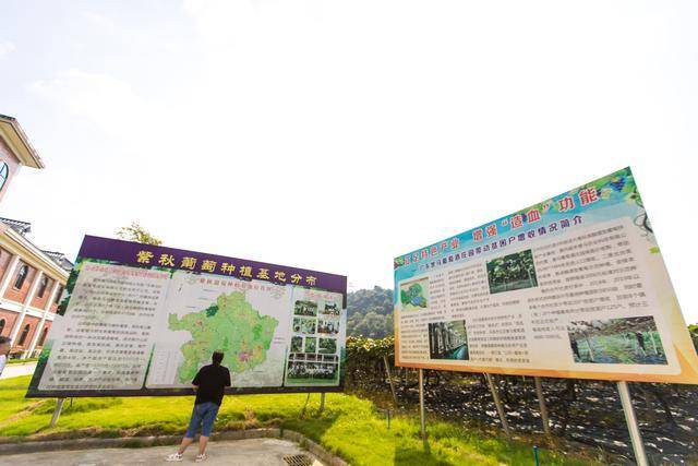 庄园|广东省首家按照全球顶级酒庄标准打造的庄园,广州自驾3h就可抵达