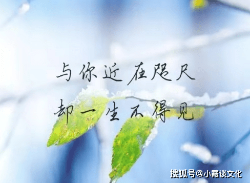 2e29aaa0bac240e5b195fc8fb3a41c60.png