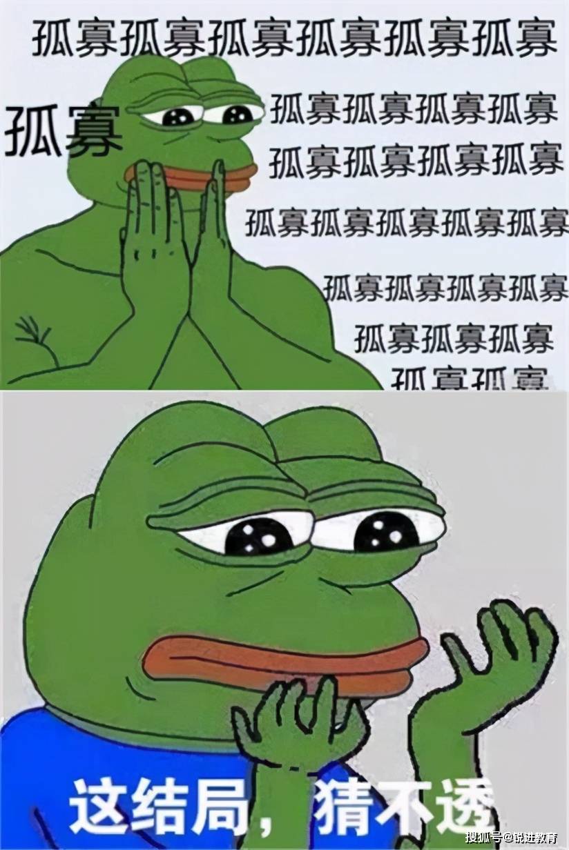 深圳单身青年图鉴你不单身谁单身