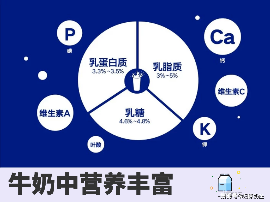 牛奶中含有100多种成分,但主要的营养成分是乳蛋白质,乳脂肪,乳糖,矿