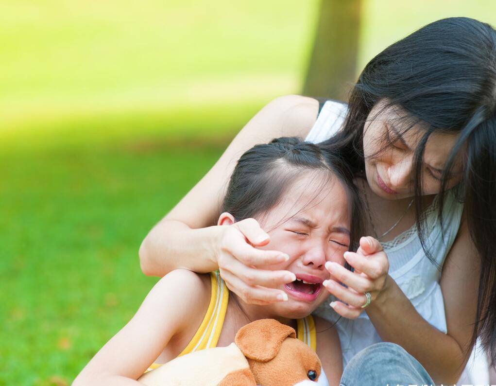 冲突|孩子在幼儿园被欺负，别再教他“打回去”，掌握这3点更重要