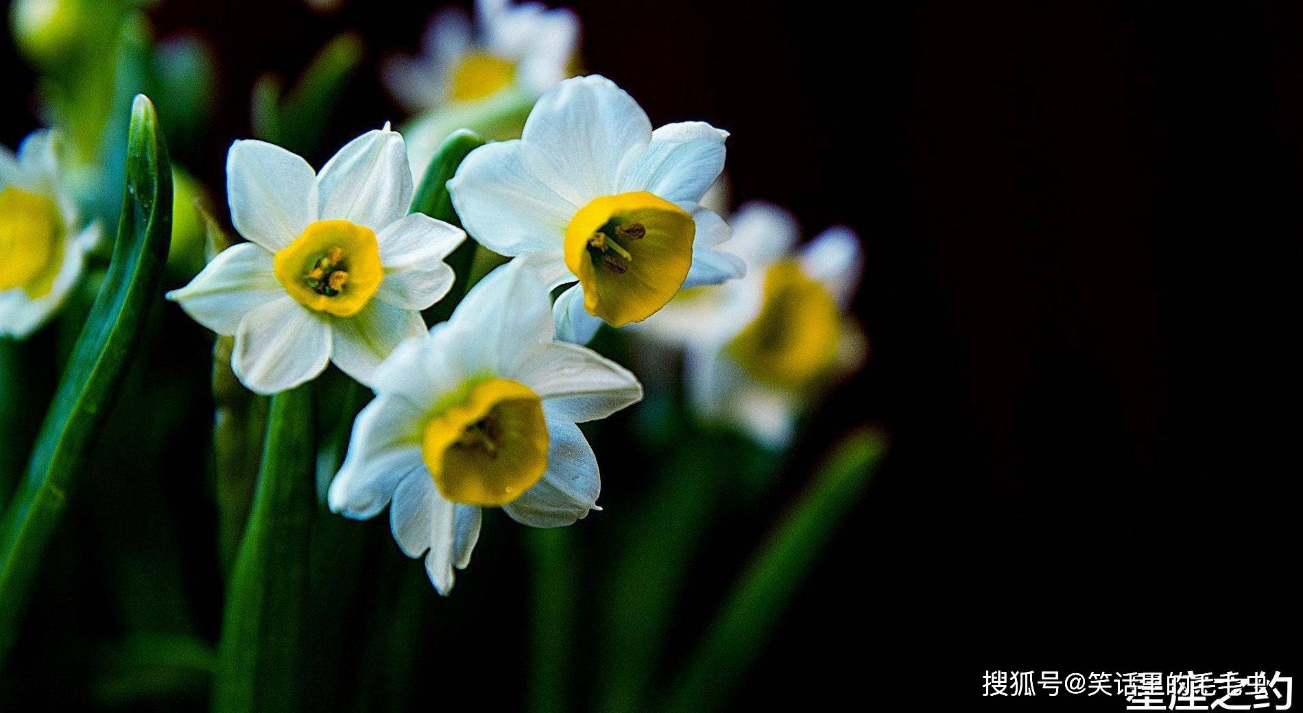 11月3日星座运势 注重细节 节节攀升的四大星座 思维