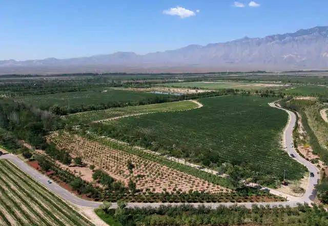 综合|全国首个针对特色产业的开放发展综试区，宁夏要干点儿啥？