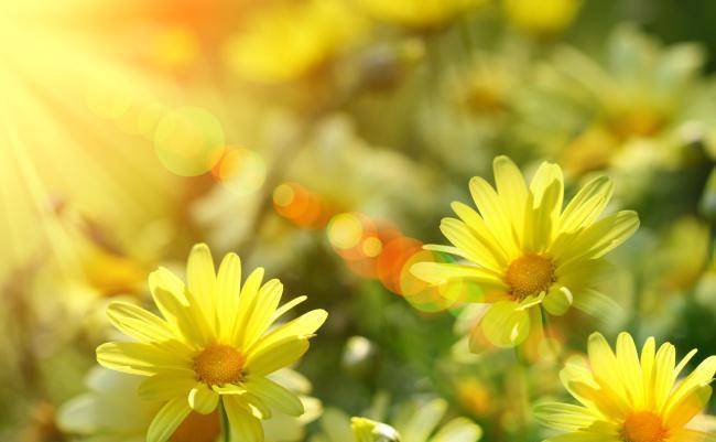 补充|喝柠檬水可淡黄褐斑？医生：不想满脸黄褐斑，3种食物尽量少吃