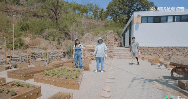 什么|李雪琴和郭麒麟都拒绝帮忙，到底谁在看人下菜？苏芒出手一目了然