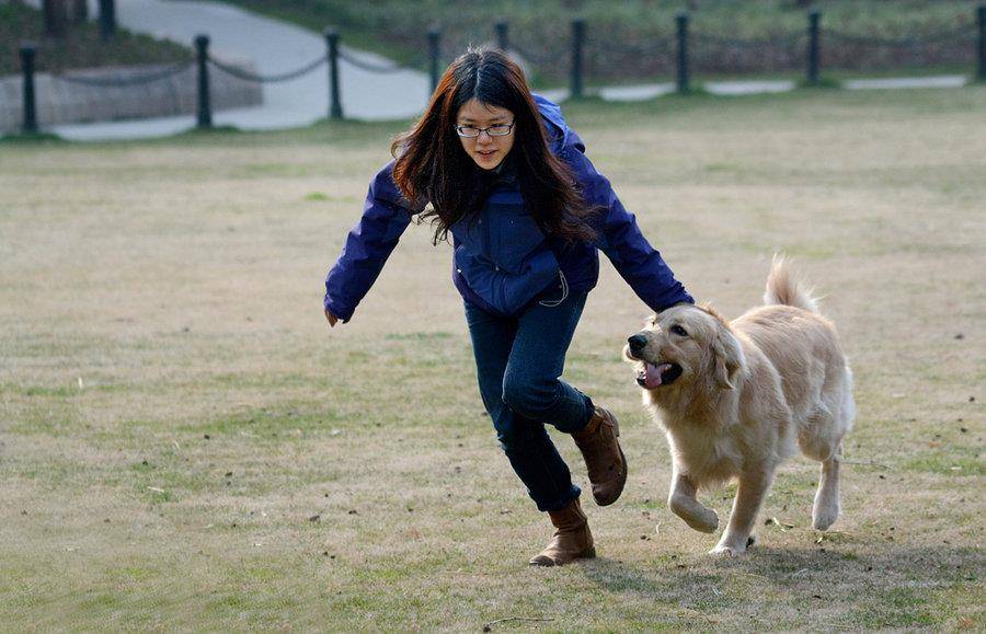 严重|兽医告诉你,什么样的养狗方式是在毁狗?