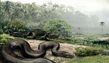 梦境迷踪，解析自己昨晚梦见好多蟒蛇，还杀了一条的深层含义