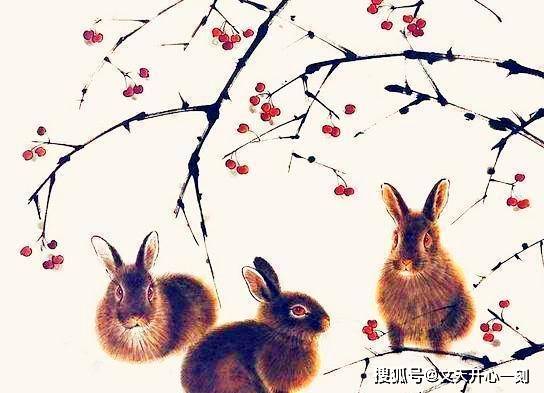 生肖兔 生肖蛇属兔、属蛇的人，心细如发，人虽低调，财运却丝毫不低调，