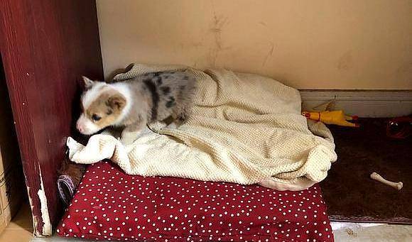 什么|它长得“好奇怪”，要不说还真不知道它是……