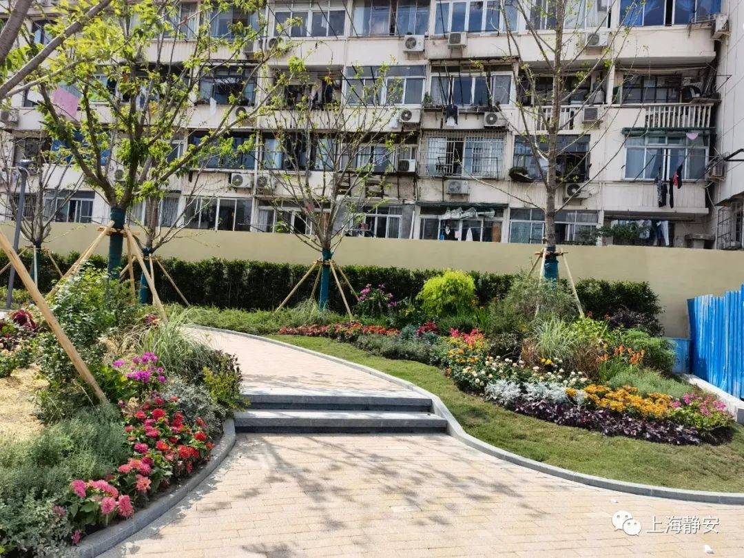 静安新增一处街心花园超多花花扮靓街景