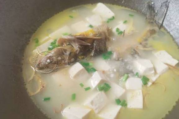 咋样炖鱼不腥 5637b6561c0e4cfd849e39a7bdc3f4de.jpeg