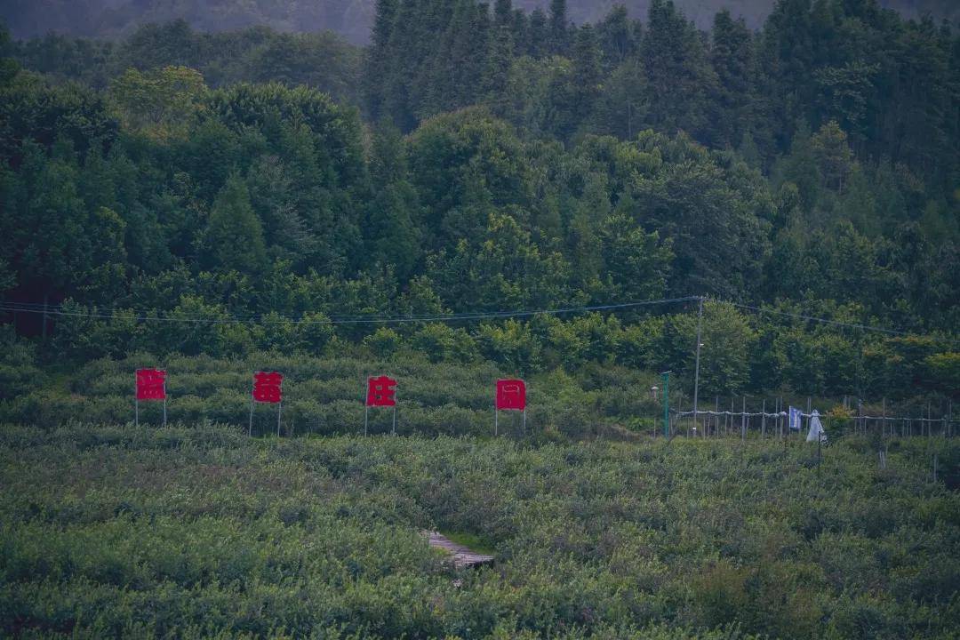 水沟|马站响水沟：半山新绿， 半山硕果，一锅烟火