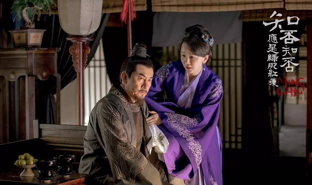 姐妹|《知否》播出时间令人欢喜，盛家姐妹一个比一个吸睛，新剧照亮了