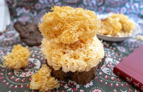 控制|糖尿病患者,应该多喝水还是少喝水?怎么喝水好?听听医生的回答