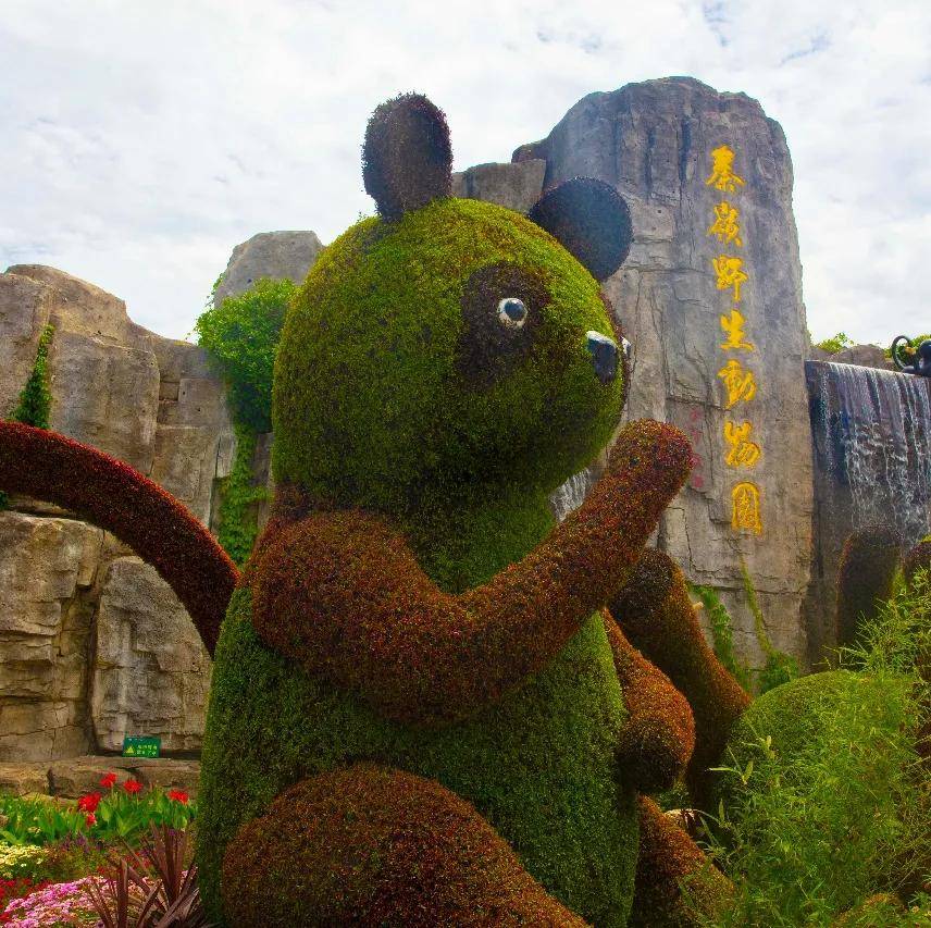 據說秦嶺野生動物園有熊貓可以看了