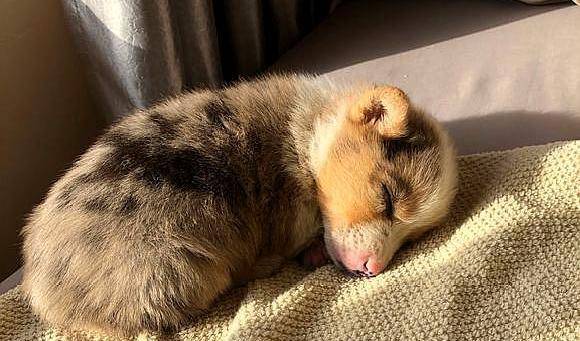 什么|它长得“好奇怪”，要不说还真不知道它是……