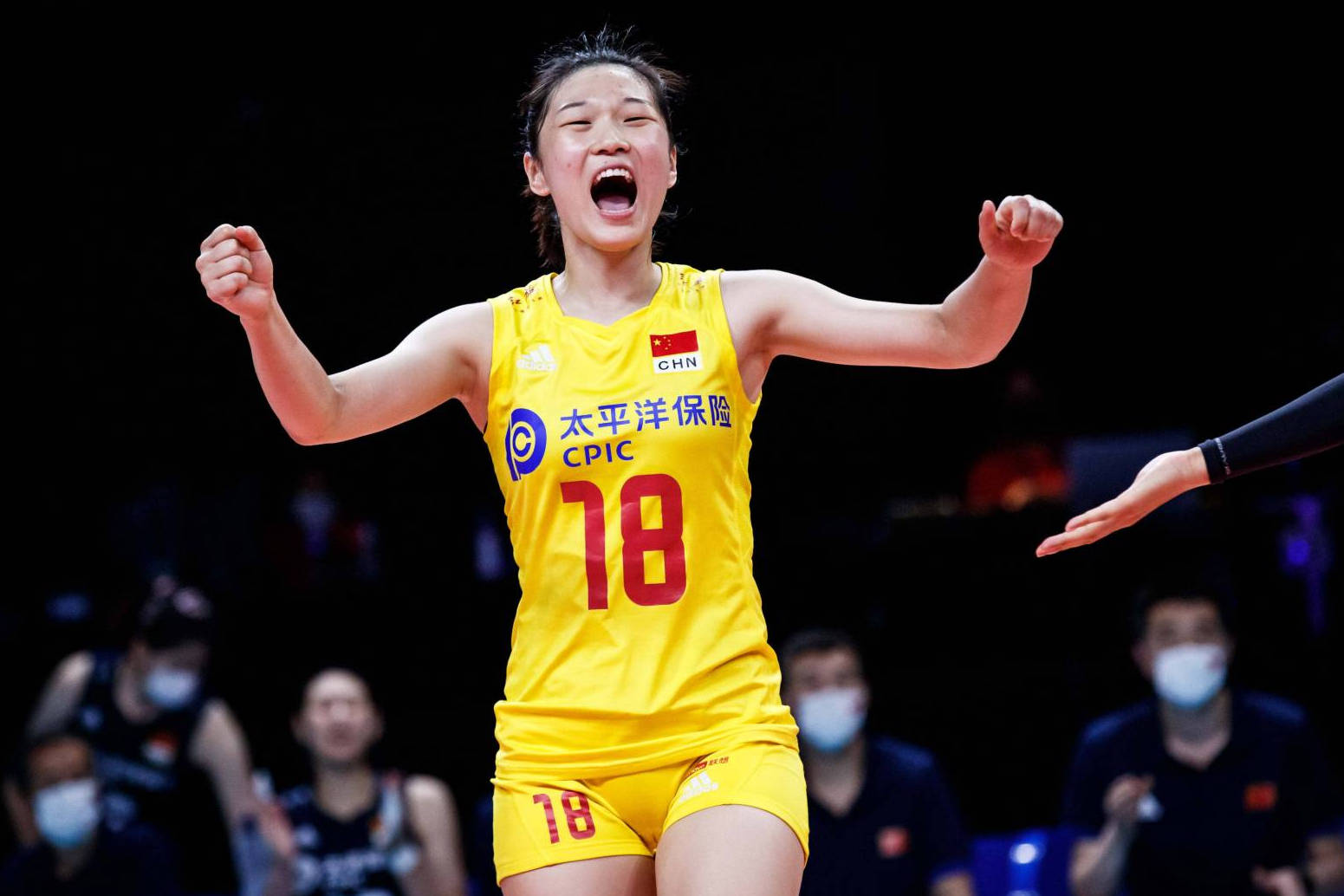 这届网友有夺笋?林莉,王梦洁,倪非凡的粉丝团都是"蓝领"