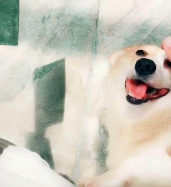 观点评论|不知道这6根铁链能否锁住这妖兽，网友：金刚伏魔锁妖大阵？