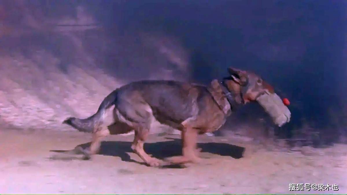 《犬王》评分降至2.2,时隔28年,这位导演成了影史上的奇耻大辱_海龙