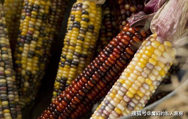 玉米怎么保存才不会坏 480e8d058c2f4872a821a0eb463f12dc.jpeg