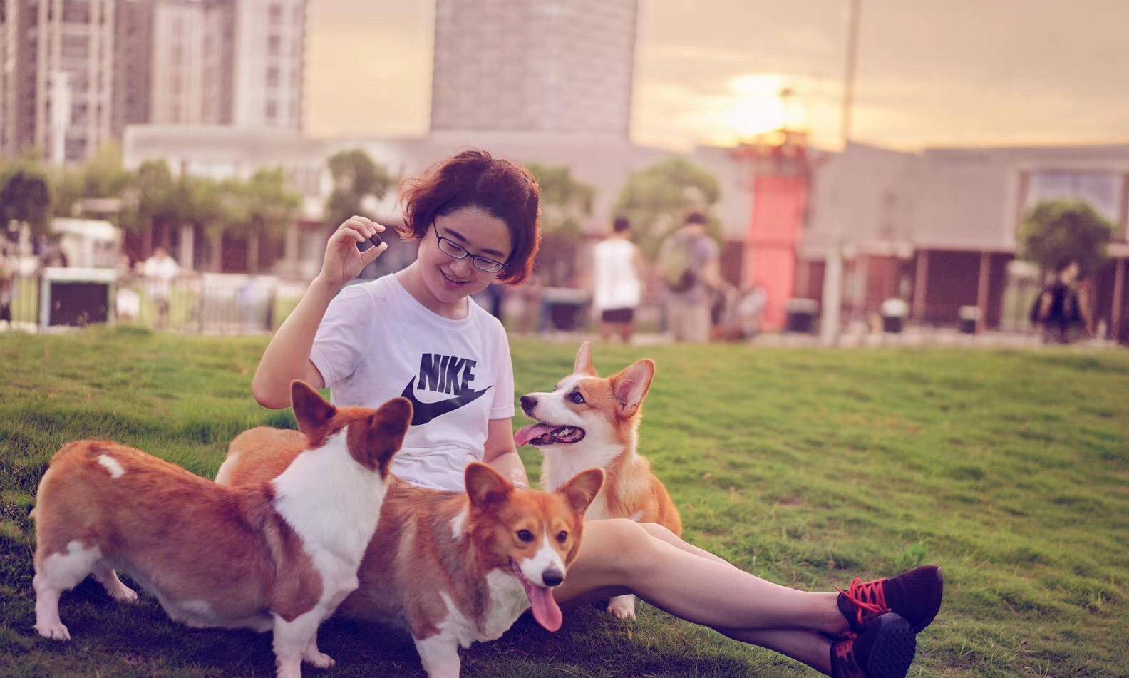 观点评论|ins风宠物写真，养这么多柯基，啥家庭啊家里有矿啊