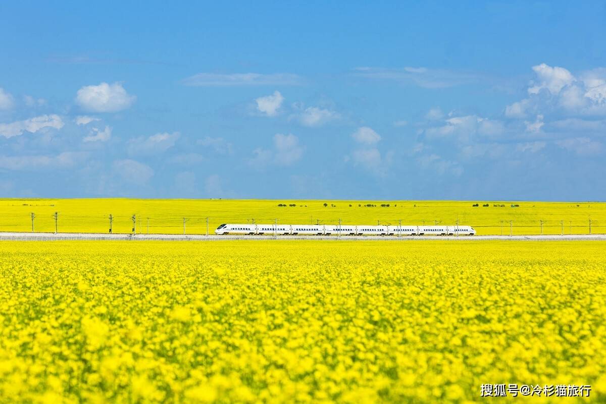 国内这8座小城 将迎来一年中最美的季节 七八月出发刚刚好 油菜花