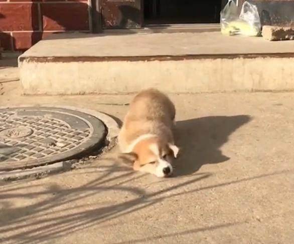 观点评论|不知道这6根铁链能否锁住这妖兽，网友：金刚伏魔锁妖大阵？