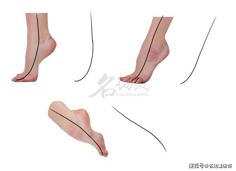 cg绘画教程之脚的结构和画法_脚趾