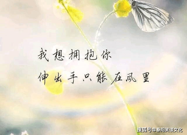 原創一個人深夜心情不好時發的說說句句深入人心痛到撕心裂肺