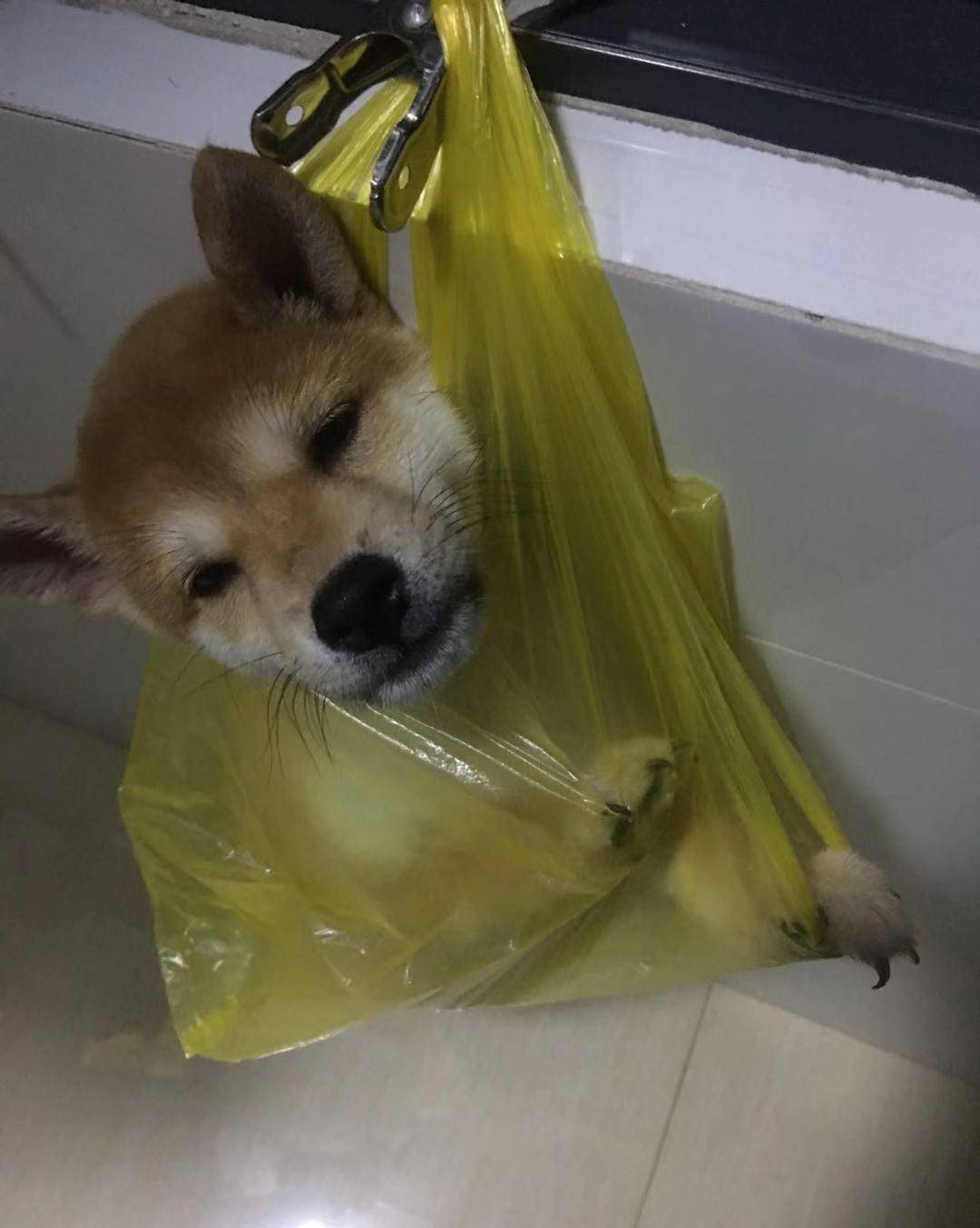 为什么老好人惹人讨厌？ 智商低的十种表现