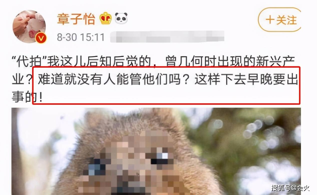网友|张含韵再次被男代拍拍裙底！神色慌张跑步逃离，幅度过大险走光