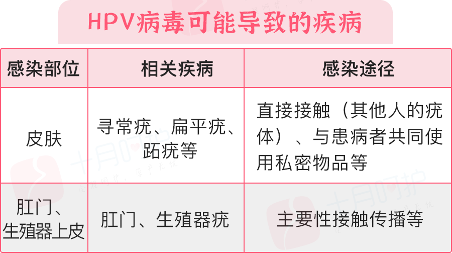病毒|身上的瘊子是感染HPV，一个动作就会传给孩子！家里有娃的赶快看