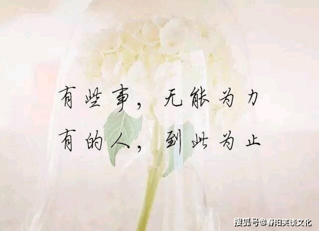 a5b54b939cc64419982a3f2278f4eb20.png
