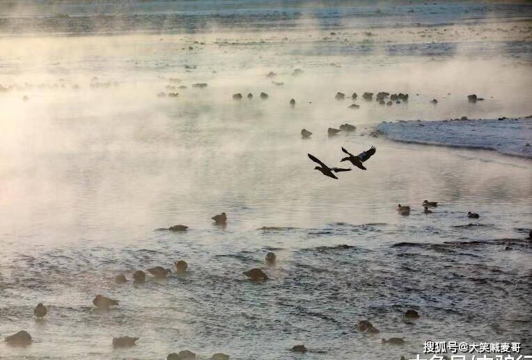 沈阳浑河出现奇观： -25℃下水坝放水, 出现天河群鸟戏水仙境