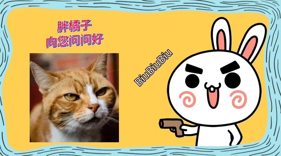 日本一猫咪老年走红，成功cos过上百位知名角色，年龄不是问题_克拉