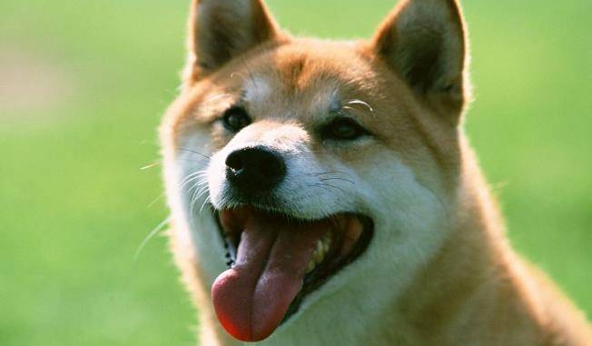 f0b503a491c746aeb67034e08f03a039.jpeg
