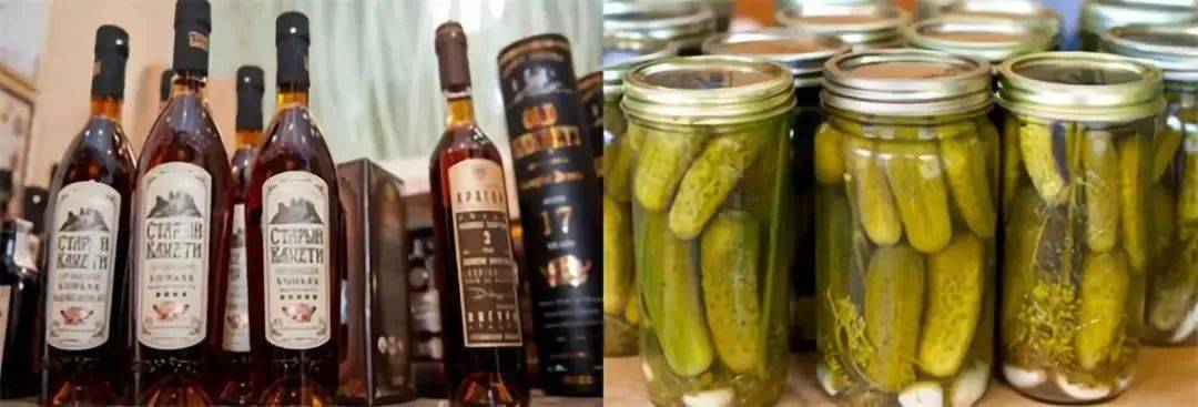 葡萄藤|LivingWines葡萄酒小课堂 | 葡萄藤也能做人质?喜剧都不敢这么编!