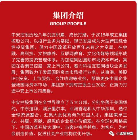 “中安家族办公室”利用上市公司做伪装 大搞外汇资金盘(图1)