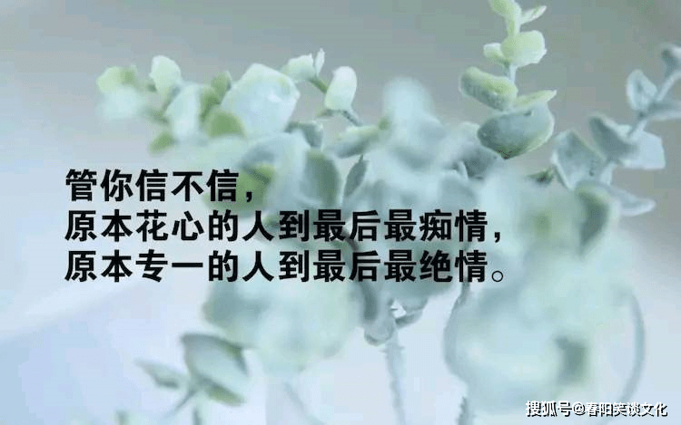 3991a1c95d1c40d7b446210bf62bf616.png